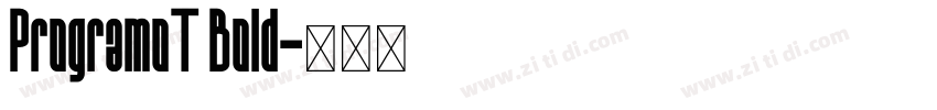 ProgramoT Bold字体转换